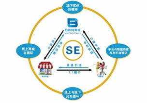 柏思特网络科技 服务实体经济，打造多方共赢网络技术服务生态